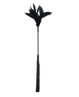 SS103-06